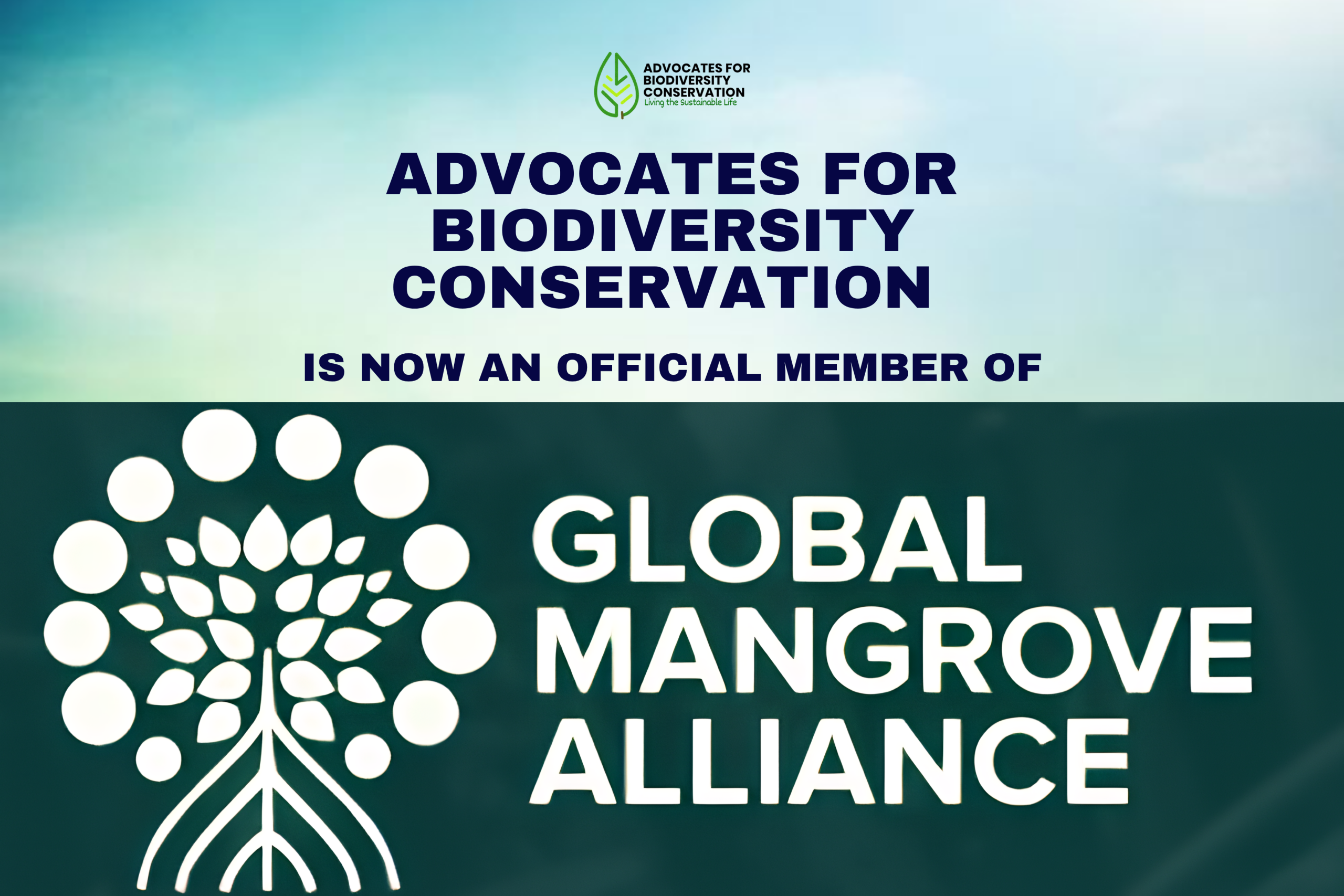 ABC Joins the Global Mangrove Alliance navy blue and gray abstract shapes webinar event announcement linkedin post